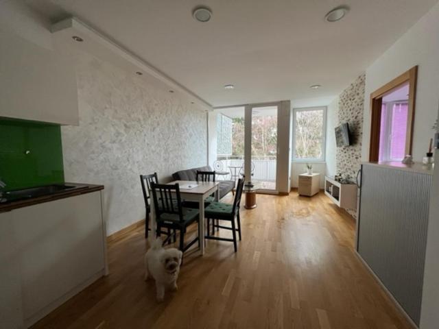 Schoenbrunn Luxury Apartment Bécs Kültér fotó